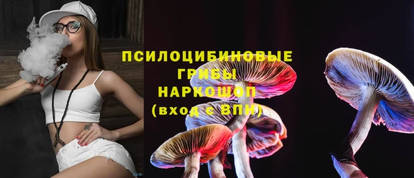 хмурый Богородск